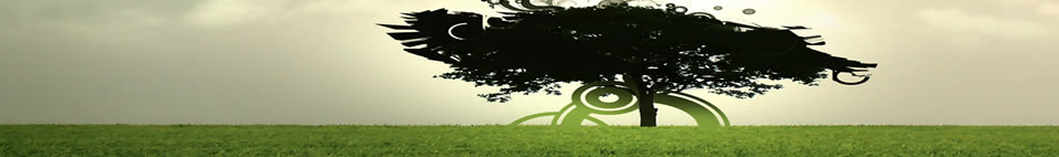 Onze webhosting is standaard voorzien van 3Gb dataruimte